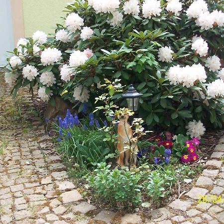 Giesis Wohlfuehloase Appartement Döbeln Buitenkant foto