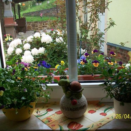 Giesis Wohlfuehloase Appartement Döbeln Buitenkant foto