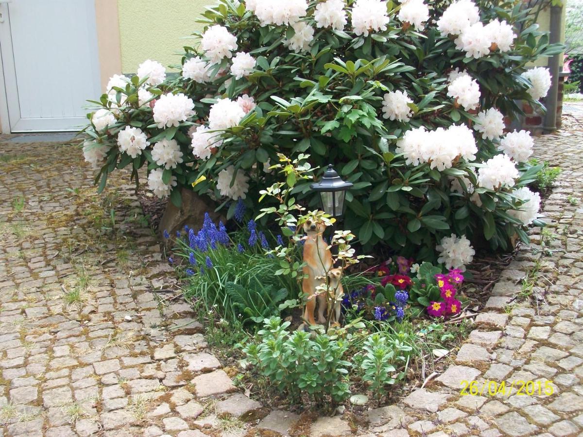 Giesis Wohlfuehloase Appartement Döbeln Buitenkant foto
