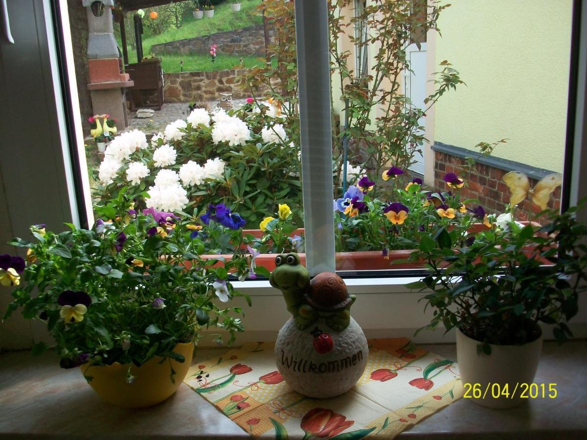 Giesis Wohlfuehloase Appartement Döbeln Buitenkant foto